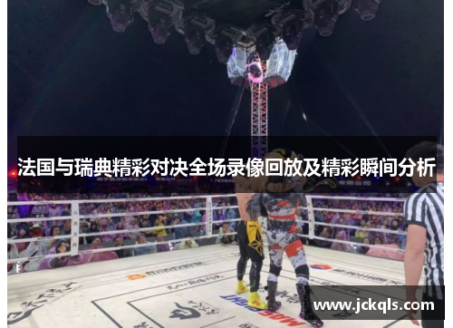 法国与瑞典精彩对决全场录像回放及精彩瞬间分析